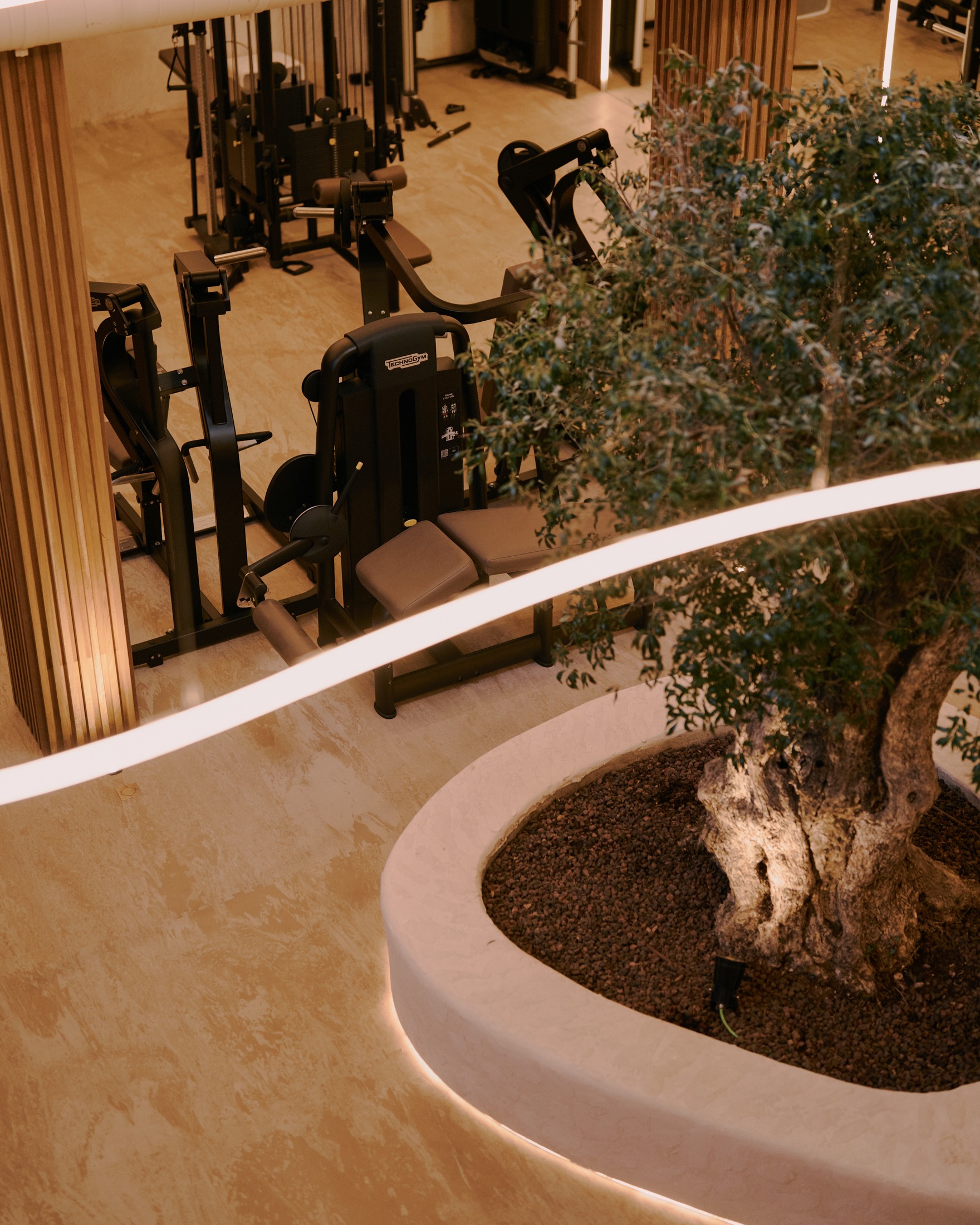 Gimnàs interior